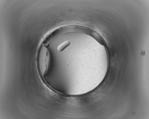 X0000090921508200708131422