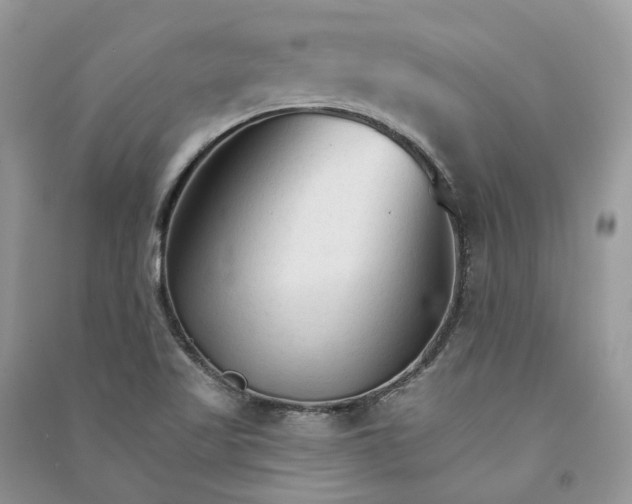 X0000090921509200708131422
