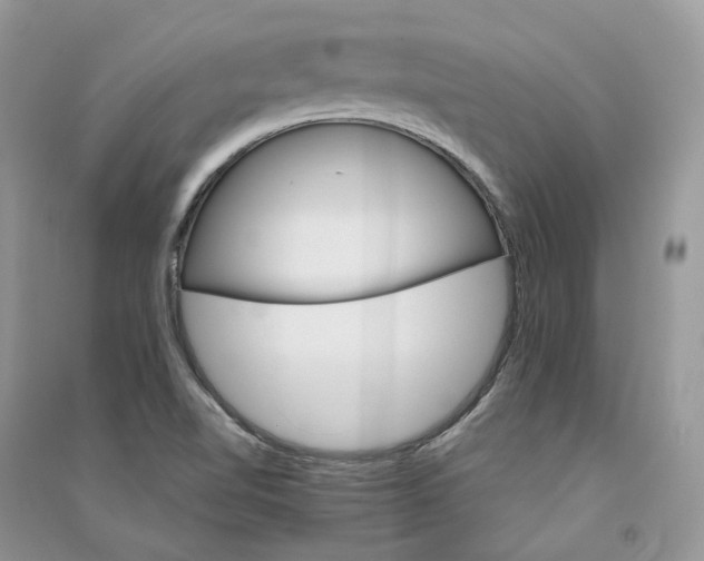 X0000090921510200708131422