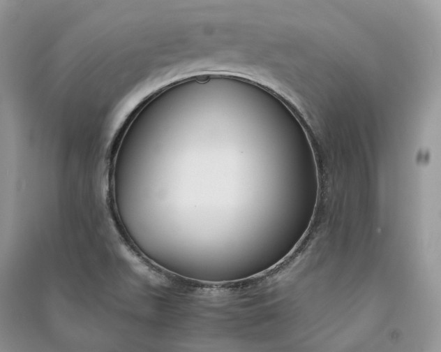 X0000090921511200708131422
