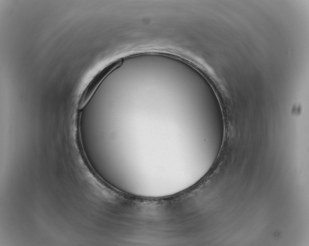 X0000090921512200708131422