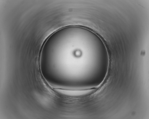 X0000090921513200708131422