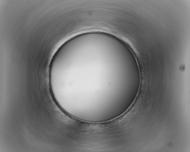 X0000090921516200708131422