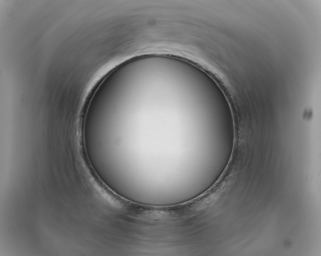 X0000090921517200708131422