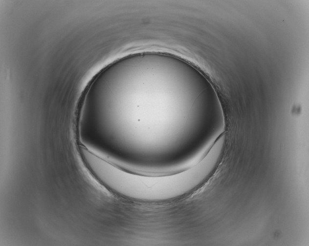 X0000090921518200708131422