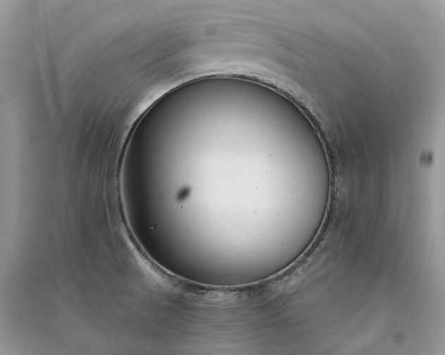 X0000090921521200708131422