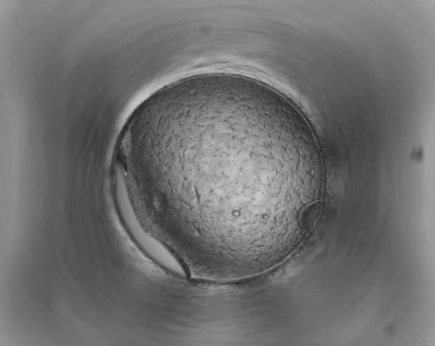 X0000090921522200708131422