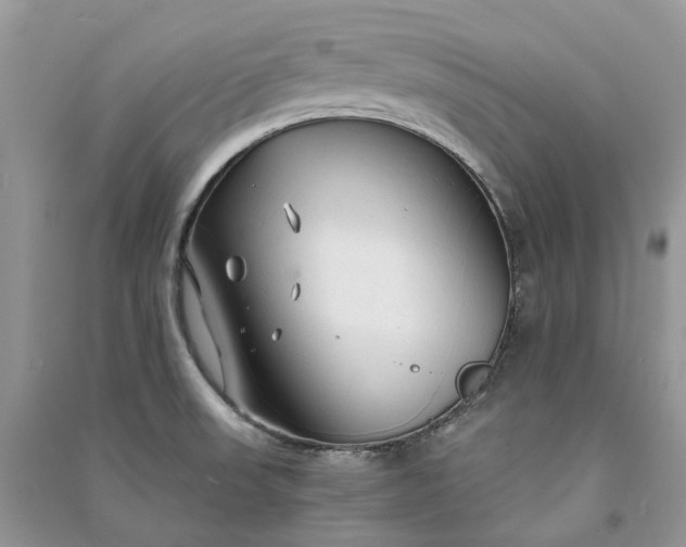 X0000090921523200708131422