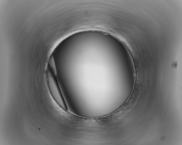 X0000090921524200708131422