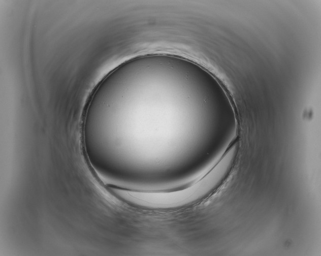X0000090921525200708131422