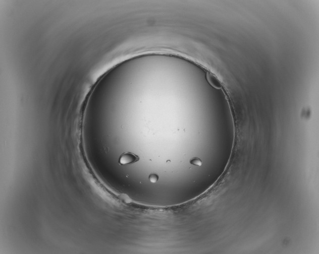 X0000090921526200708131422