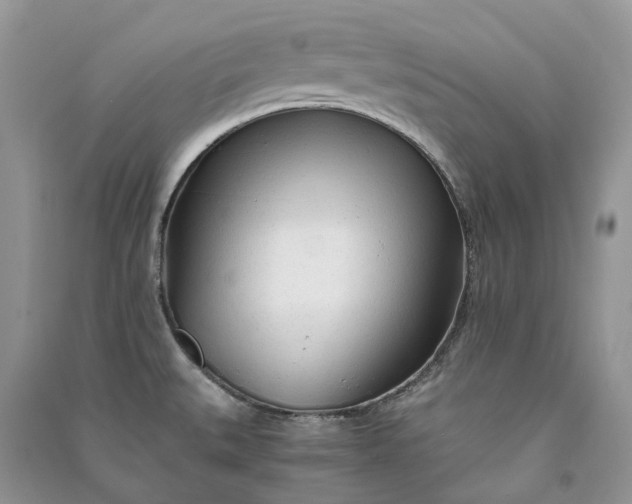 X0000090921527200708131422