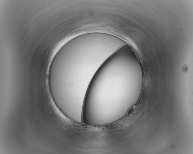 X0000090921528200708131422