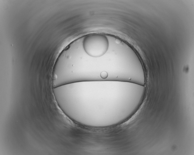 X0000090921529200708131422