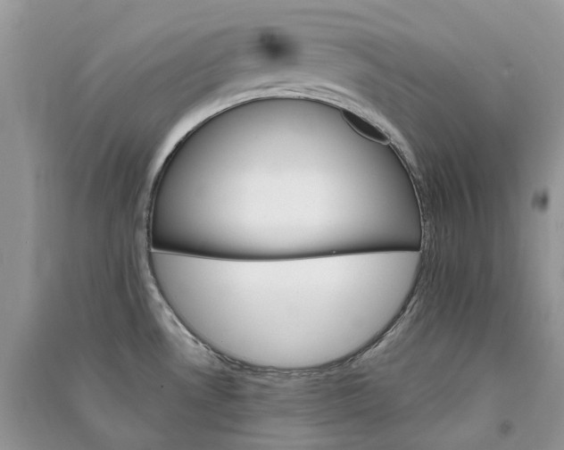 X0000090921530200708131422