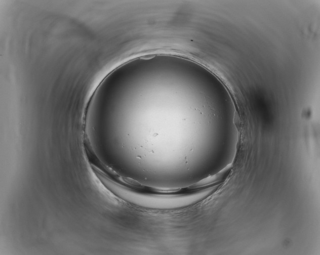 X0000090921532200708131422