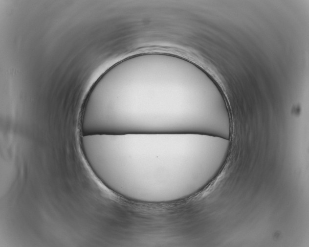 X0000090921533200708131422