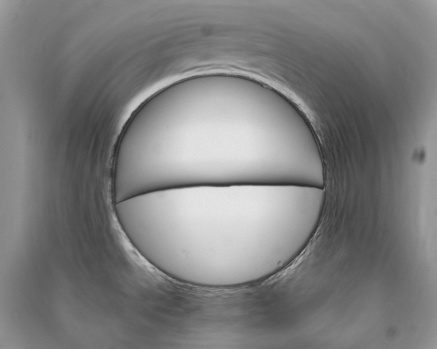 X0000090921534200708131422