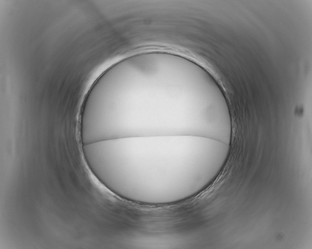 X0000090921535200708131422