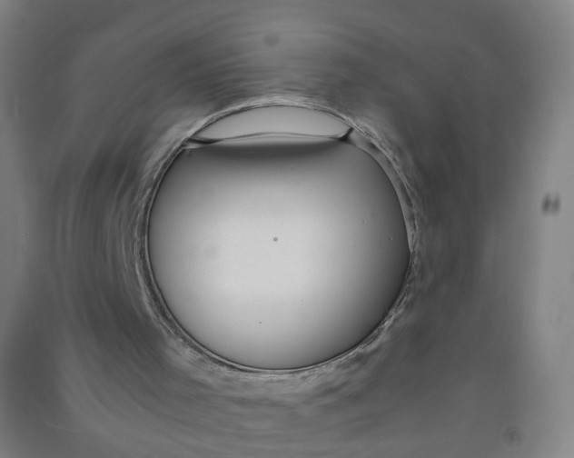 X0000090920001200708201816