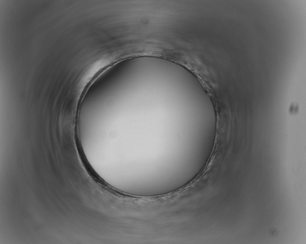 X0000090920003200708201816