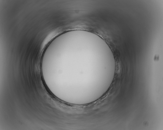 X0000090920004200708201816