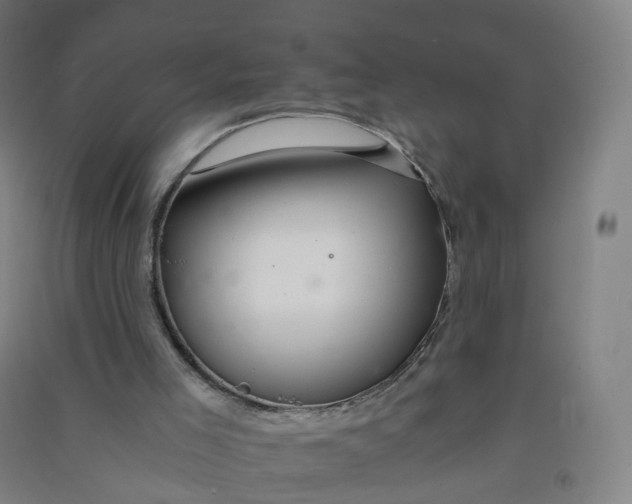 X0000090920005200708201816