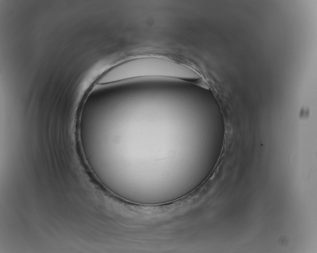 X0000090920006200708201816