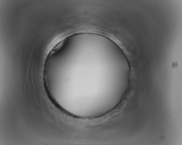 X0000090920007200708201816