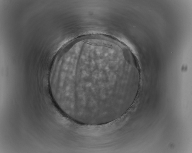 X0000090920009200708201816