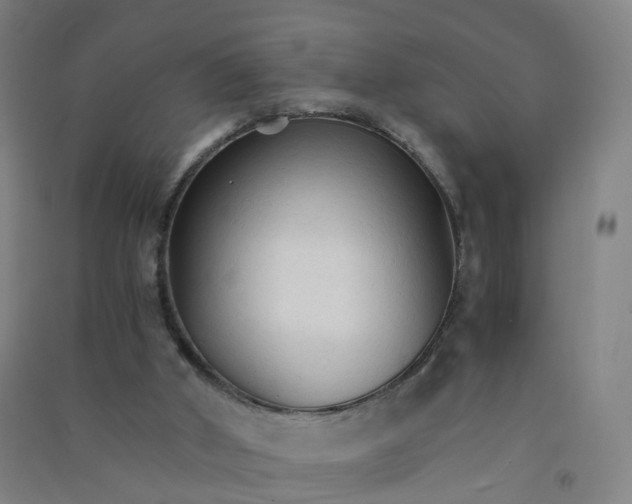 X0000090920010200708201816