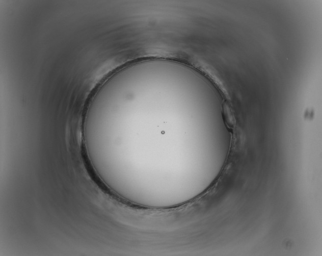 X0000090920011200708201816