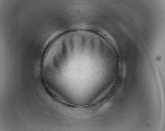 X0000090920012200708201816