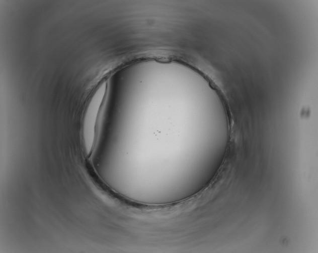 X0000090920013200708201816