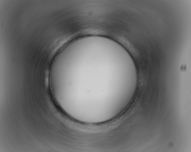 X0000090920014200708201816