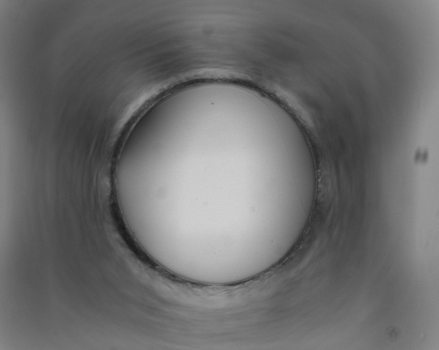 X0000090920015200708201816