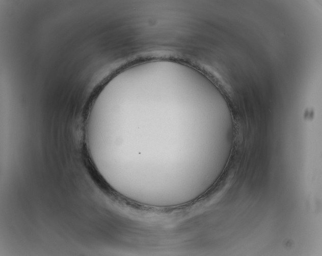 X0000090920016200708201816