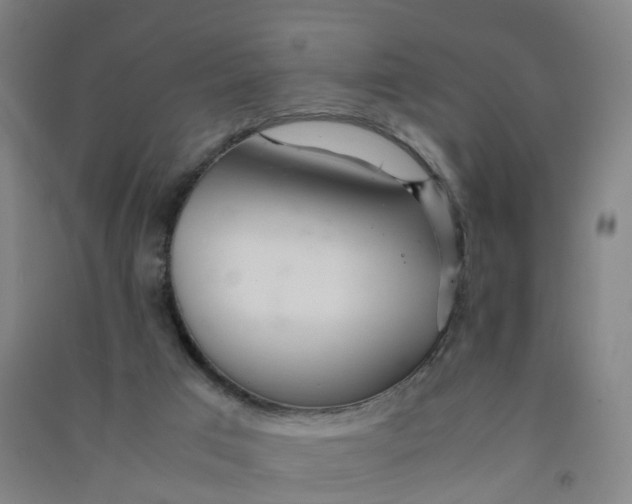 X0000090920017200708201816