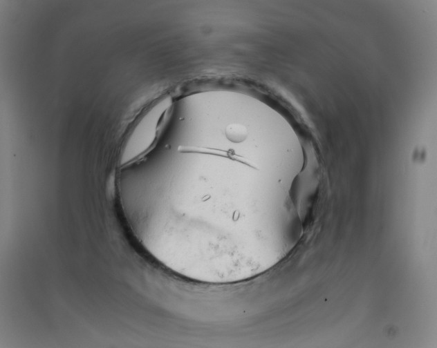 X0000090920019200708201816