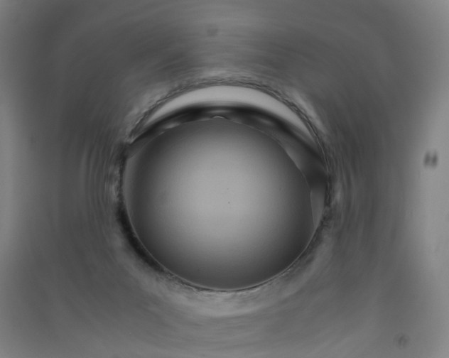 X0000090920023200708201816