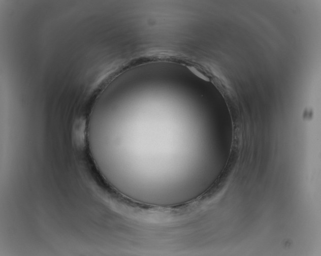 X0000090920024200708201816