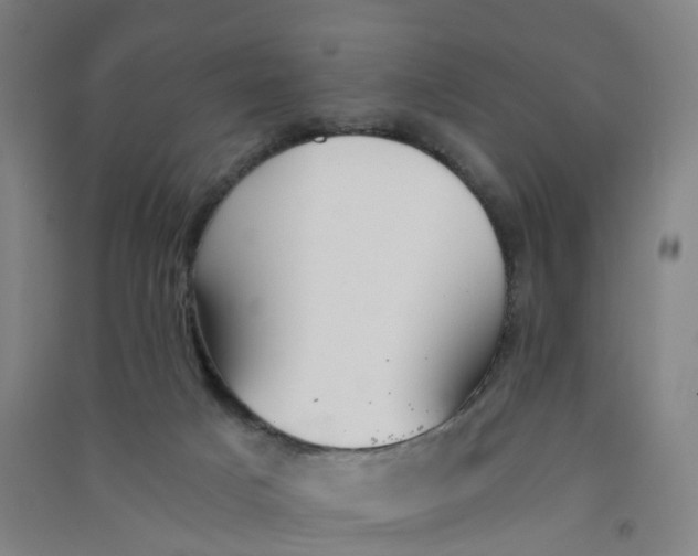 X0000090920025200708201816