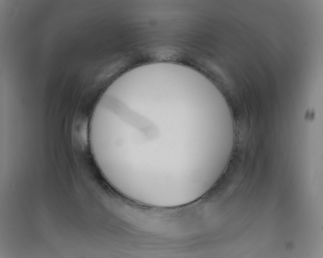 X0000090920028200708201816