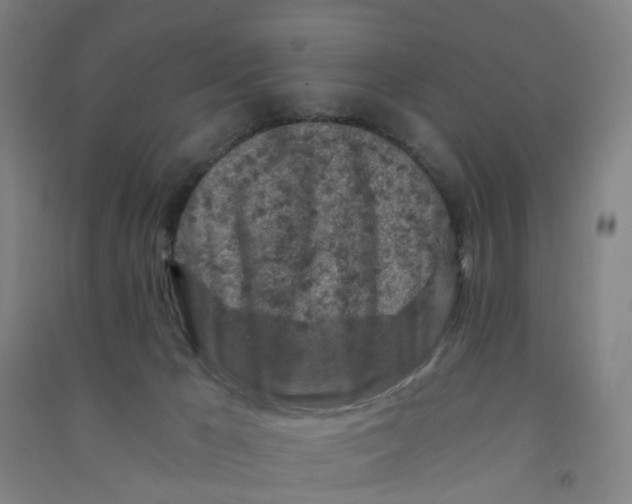 X0000090920029200708201816