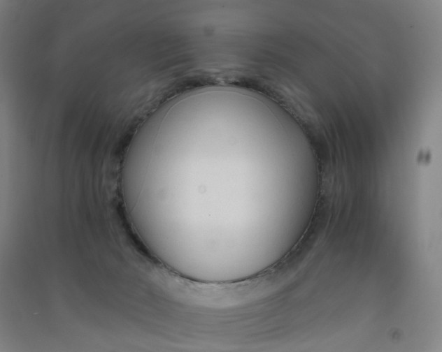 X0000090920030200708201816