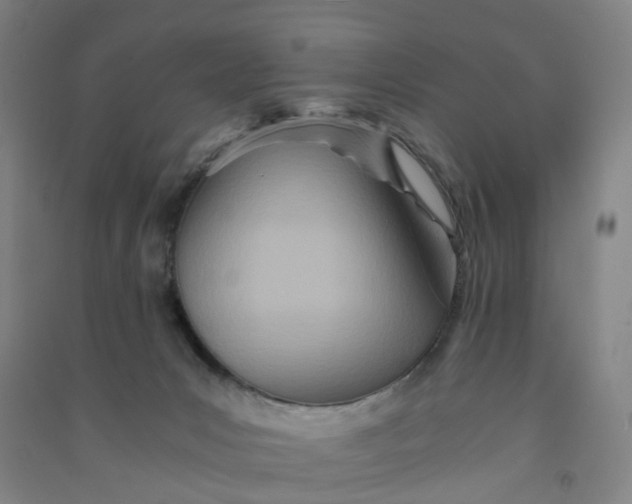 X0000090920031200708201816