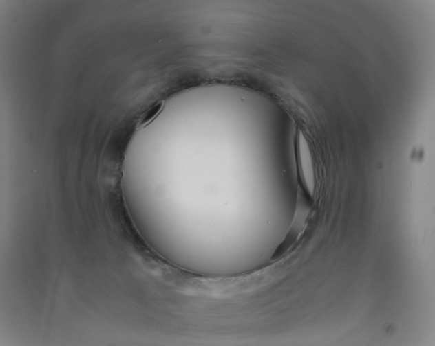 X0000090920033200708201816