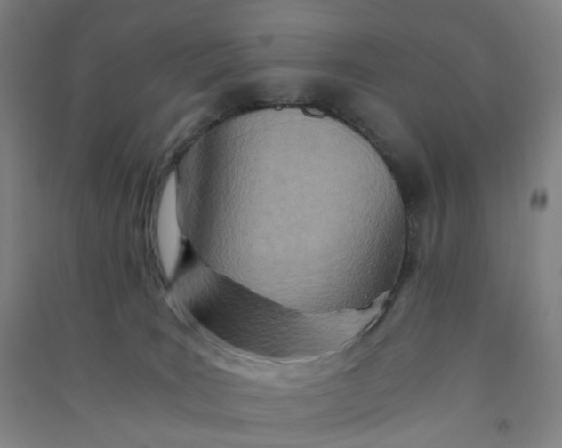 X0000090920035200708201816