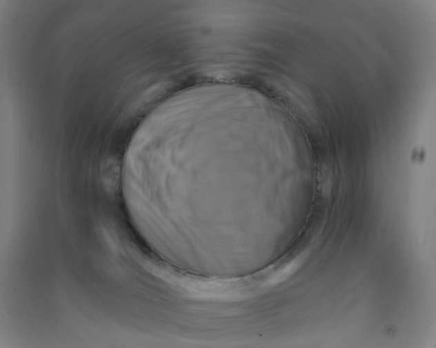 X0000090920036200708201816