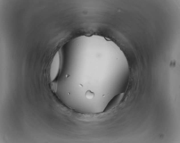 X0000090920037200708201816